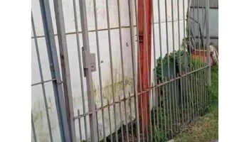 1 reja