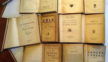 15 libros de Literatura Clasica antiguos Edit Losada y otra