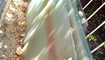 17 vidrios esmerilados