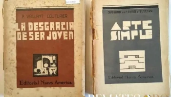 2 Libros: La Desgracia de ser Joven y Arte Simple, Vitureira
