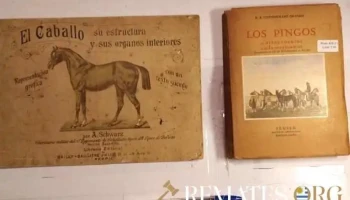 2 libros sobre Caballos: Los Pingos y El Caballo