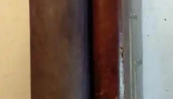 2 Libros: Tapas de terciopelo y cuero, Maria Antonieta y otro