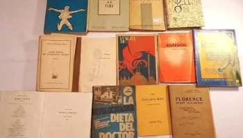 21 libros lote muy variado
