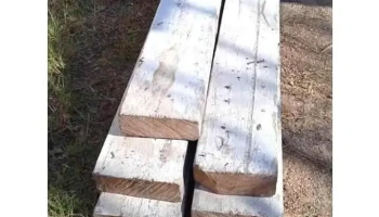5 vigas de pinotea