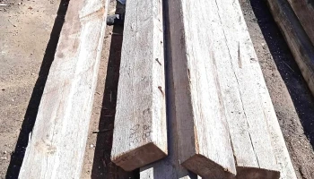 9 vigas de pinotea