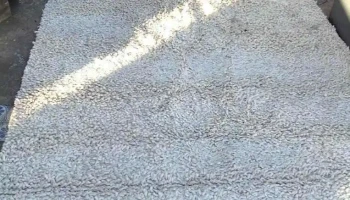 alfombra lana cruda 3,00 x 2,00