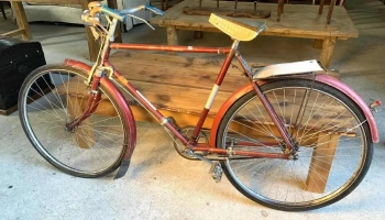 Bicicleta (genial Lucifer) R28 Empipada