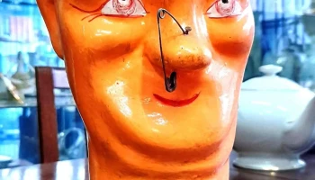 Cabeza de geniol sana