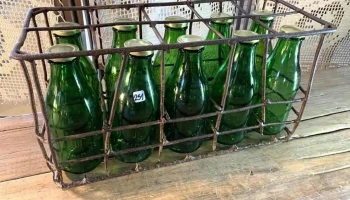Casillero Con 10 Botellas Talar