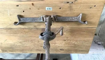 Gato De Cachila