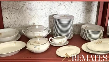 Juego De Porcelana Olmos 110 Piezas