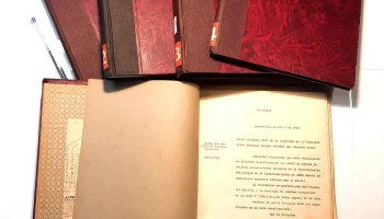 Libros encuadernados con documentos oficiales sobre Limites, Arroyo de la Invernada y decenas de planos y mapas
