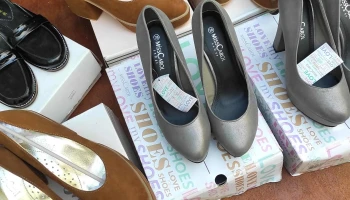 Lote de 6 pares de zapatos de dama