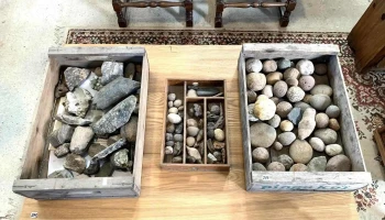 Lote De Fosiles, Piedras Indigenas Y Otros