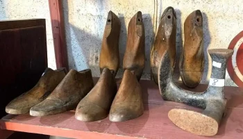 lote de Hormas Y Tres  Pie Zapatero