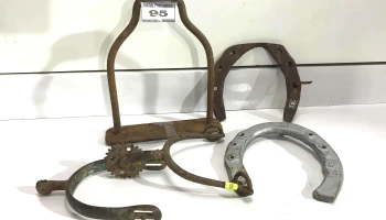 Lote Equino