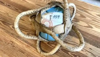 Pelota De Pato