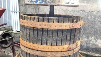 Prensa Con Tornillo Y Engranaje 1,15 Diam