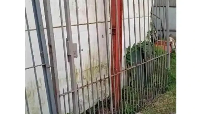 1 reja