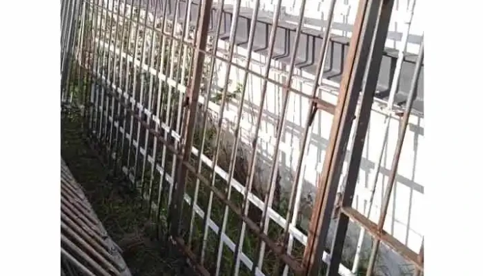 1 reja