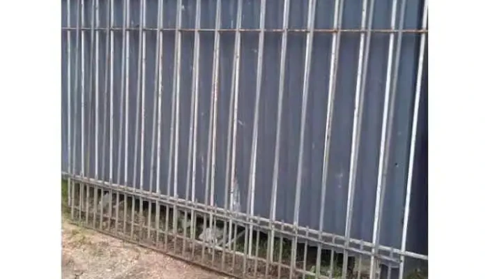 1 reja