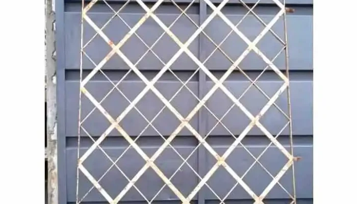 1 Reja De Rombos -  1 - 13-03-2021