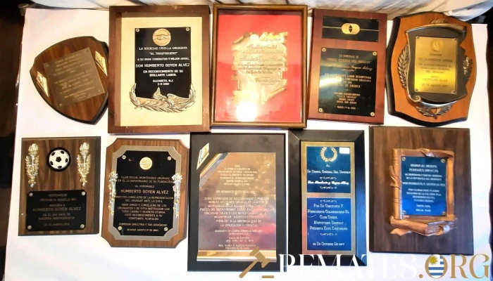10 Diplomas Del Consul Uruguayo En Usa D 1 - 05-06-2021