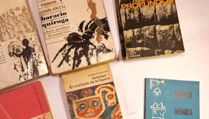 10 Libros De Horacio Quiroga Arguedas A 3 - 05-06-2021