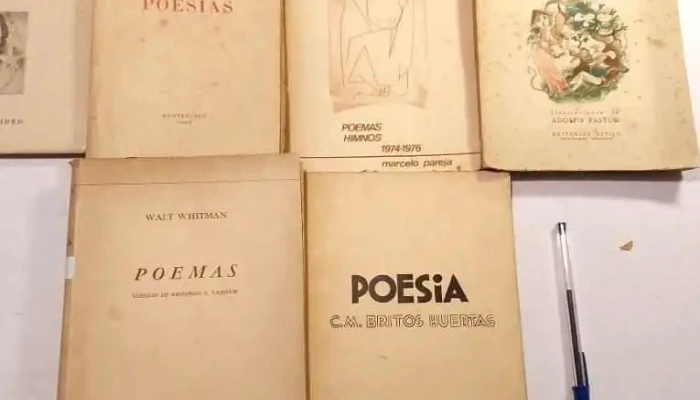 11 Libros De Poemas Y Poesias Jacaranda 2 - 05-06-2021