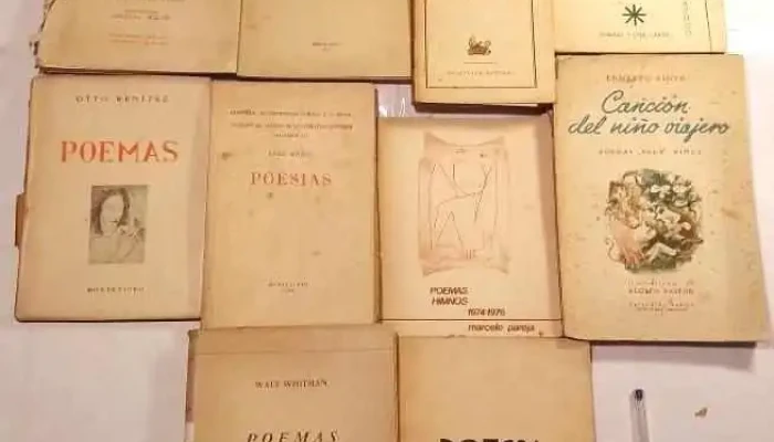 11 libros de poemas y poesias Jacaranda de Ernesto Pinto, Como Pompas de Jabon, etc