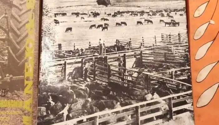 12 Libros Geologia Del Uruguay Agricult 3 - 05-06-2021