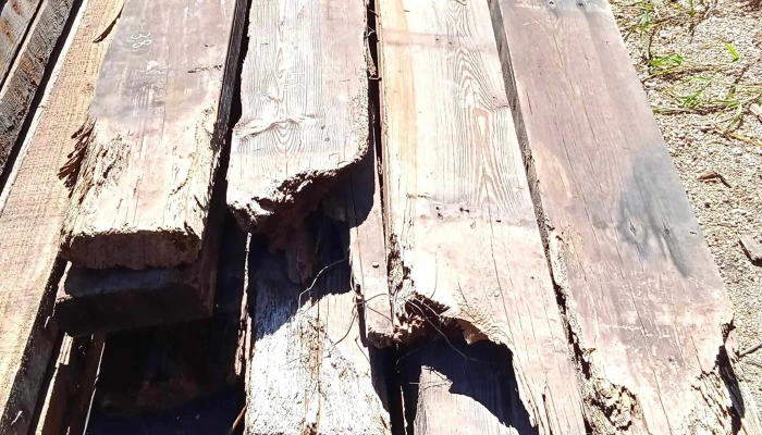 18 vigas de pinotea