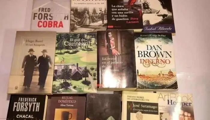 19 libros varios: Saramago, Clave de Einstein, Los Borgia, Inferno de Dan Brown, etc