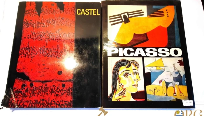 2 Libro De Arte De Picasso Y Moshe Caste 1 - 05-06-2021