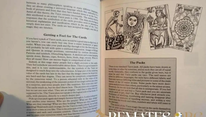 2 Libros Nostradamus Y The Haunted Real 2 - 05-06-2021