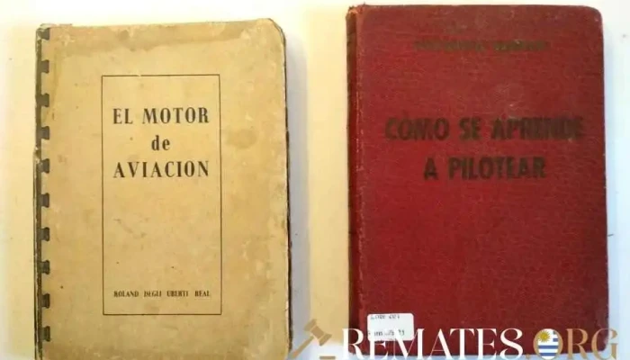 2 Libros Sobre Aprendizaje De Aviacion 1 - 05-06-2021