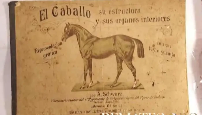 2 Libros Sobre Caballos Los Pingos Y El 3 - 05-06-2021