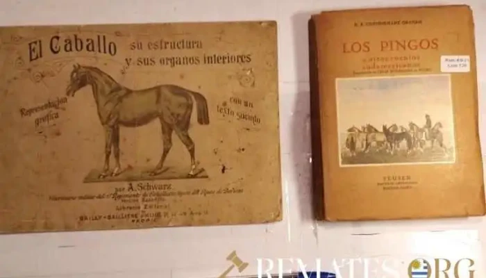 2 libros sobre Caballos: Los Pingos y El Caballo