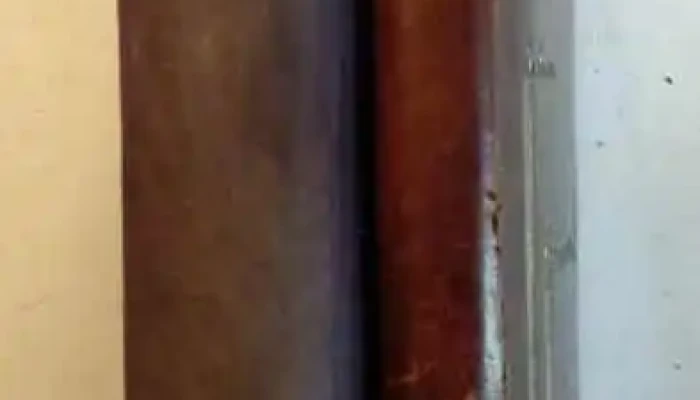 2 Libros: Tapas de terciopelo y cuero, Maria Antonieta y otro