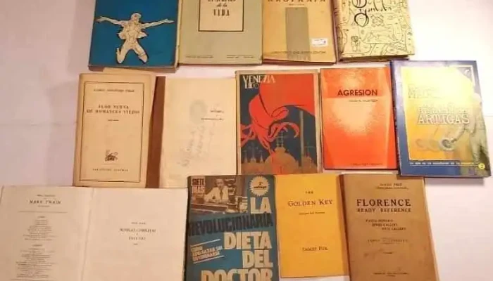 21 libros lote muy variado