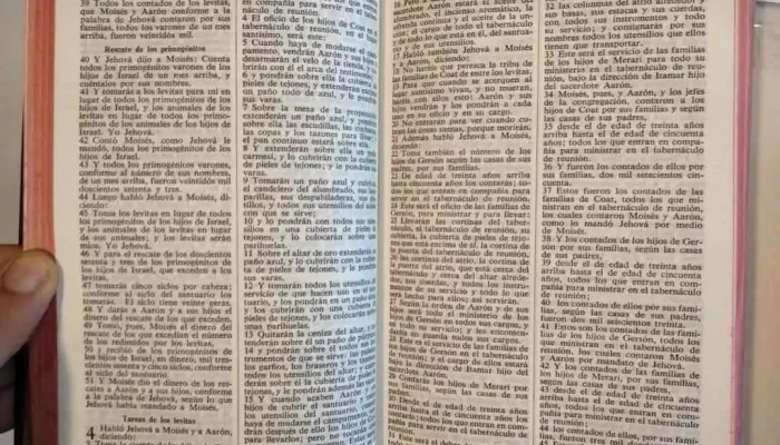 3 Biblias Diferentes 1 En Ingles 3 - 05-06-2021