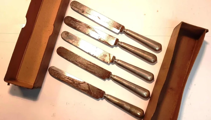 5 cuchillos de mesa Oso Berndorf en caja original