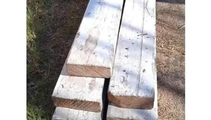 5 vigas de pinotea
