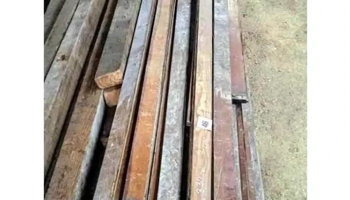 51 tablas de pinotea