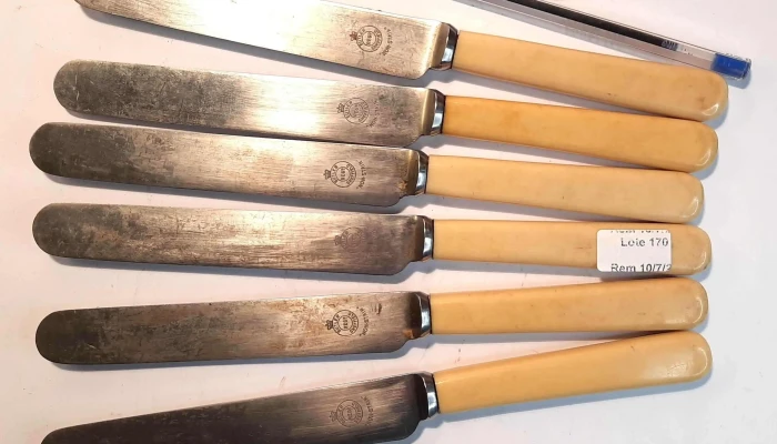6 Cuchillos De Mesa Mango Marfilina Hoja 1 - 05-06-2021