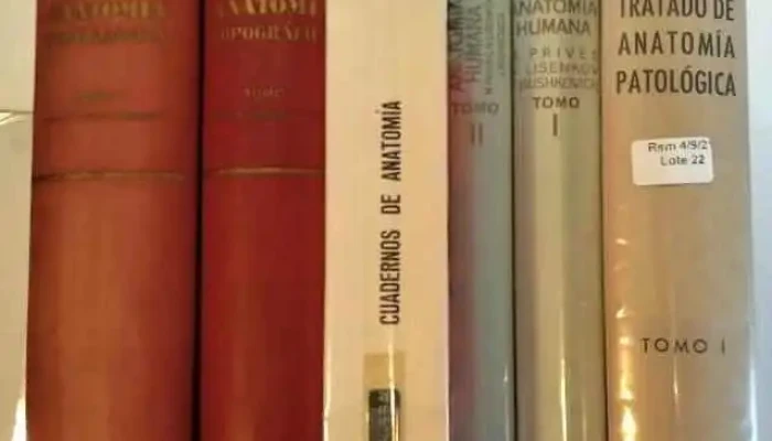 6 Libros De Anatomia Diferentes -  2 - 05-06-2021