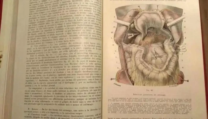 6 Libros De Anatomia Diferentes -  3 - 05-06-2021