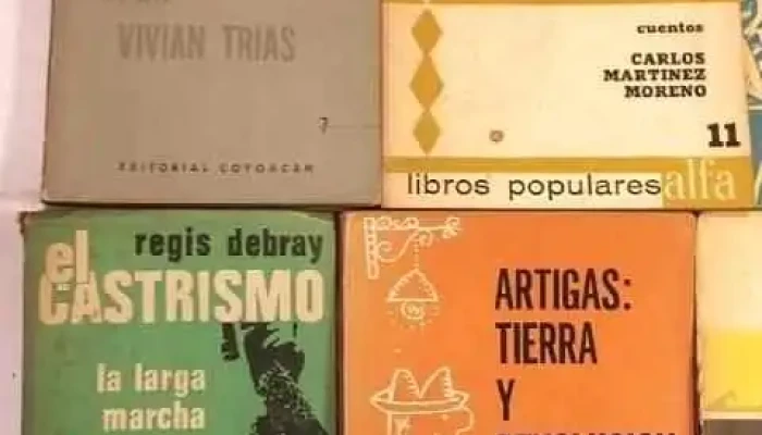 8 Libros Facundo La Patria Vieja Juan 2 - 05-06-2021