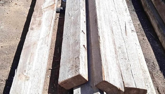 9 vigas de pinotea