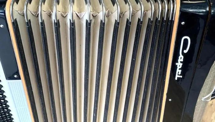 Acordeon A Piano Capri 80 Bajos Con Estu 5 - 06-12-2020